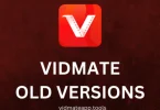 vidmate old version
